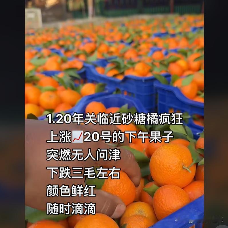 今年水果市场整体还是偏悲观，如果春节前后这段苹果价格和走货还是起不来，那苹果期货