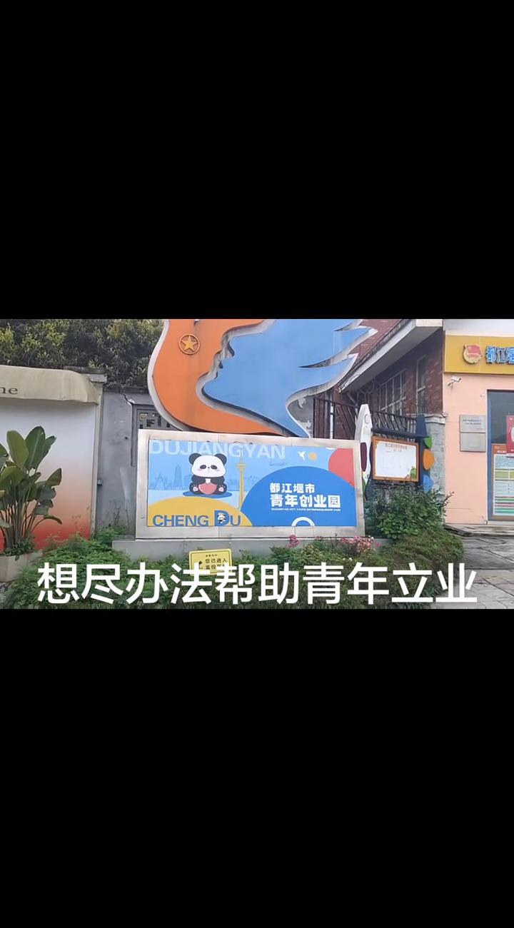 想尽办法帮助青年立业。