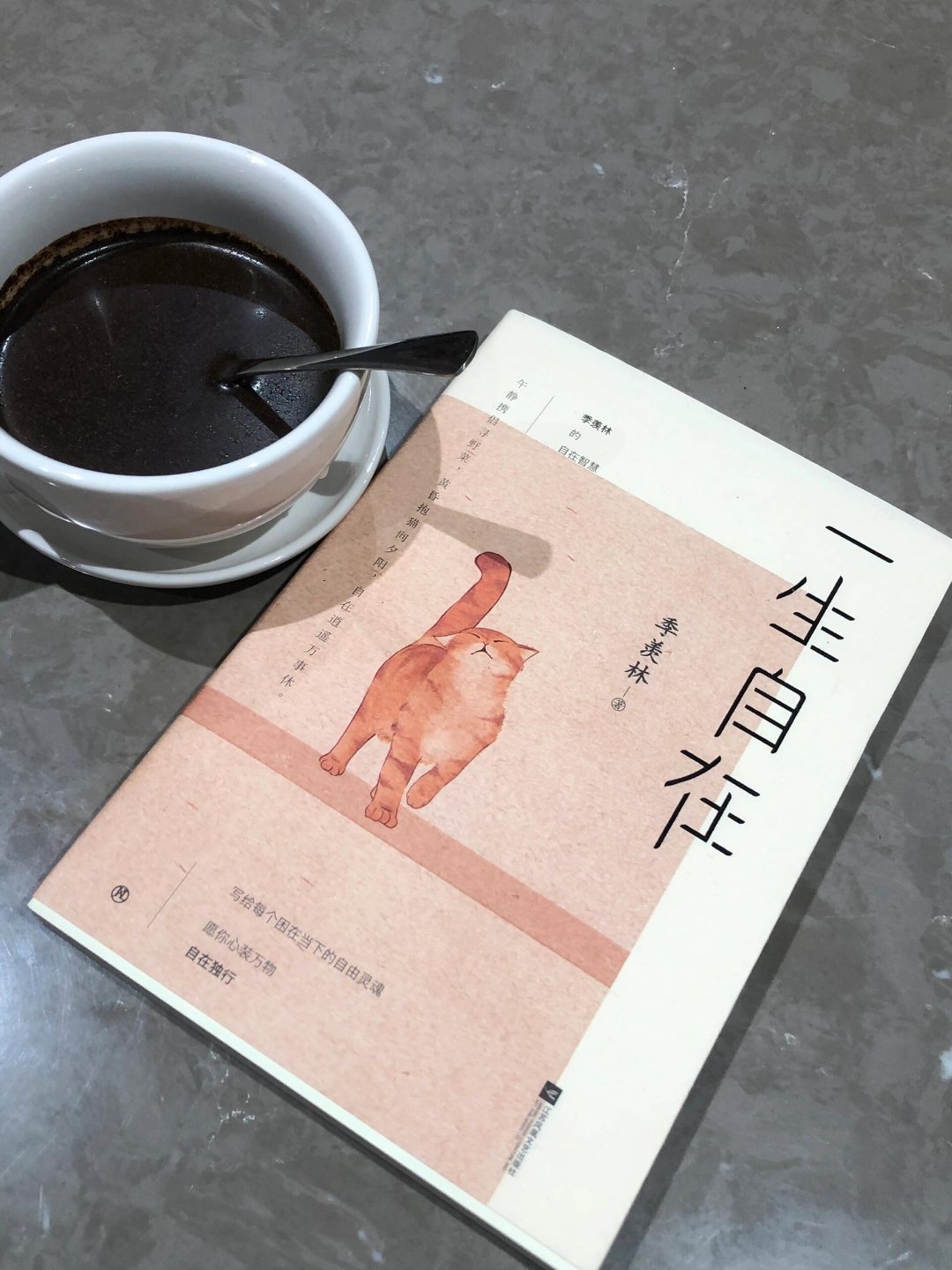 《一生自在》是季羡林先生的一部散文集，于2019年8月由江苏凤凰文艺出版社出版。