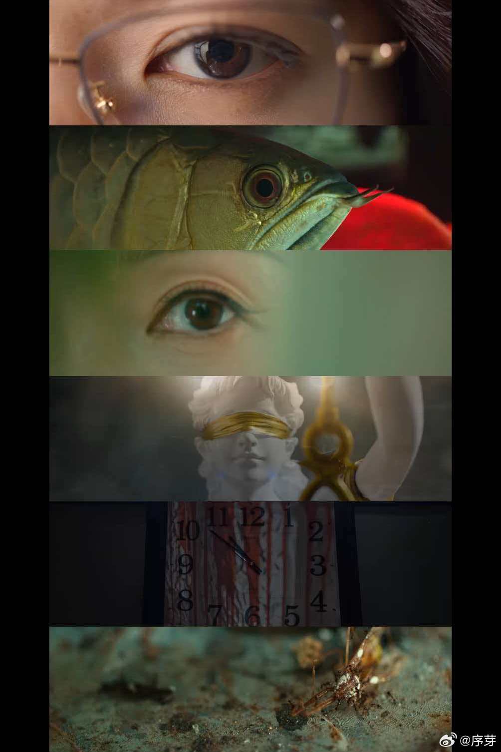 回来的她们回来的她们预告 看完预告就被狠狠勾住了，角色们平静的表情下全是故事，脸