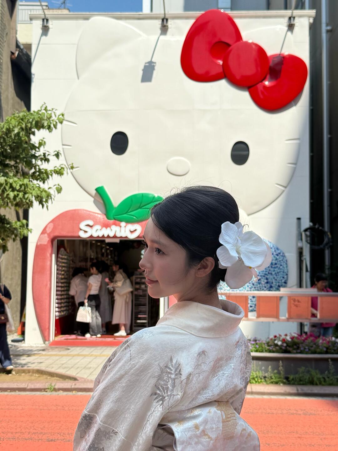 人总是喜欢反季节的东西 就像幸福后知后觉