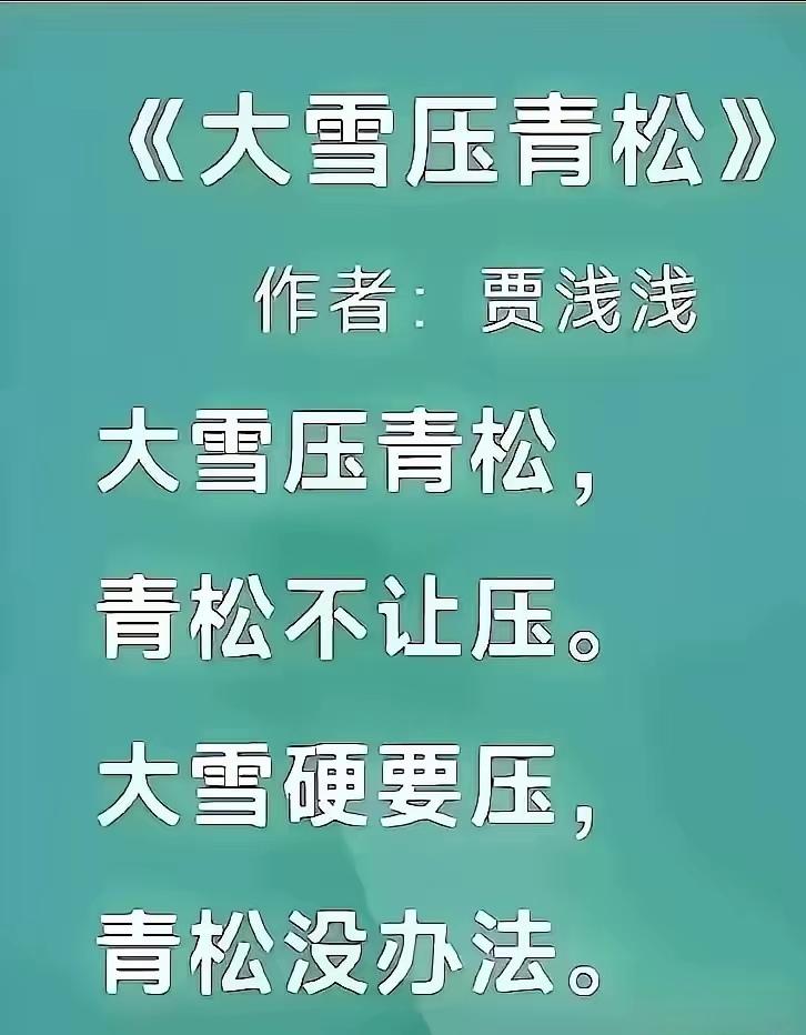 贾浅浅的这首《大雪压青松》很可能成为百年名作。首先说它已经具备了广泛的知名度，而