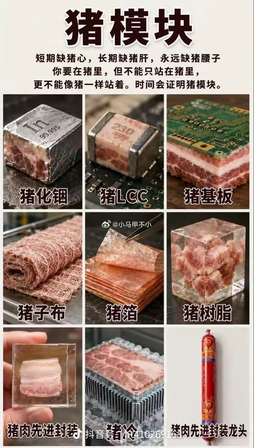 哈哈哈哈 
