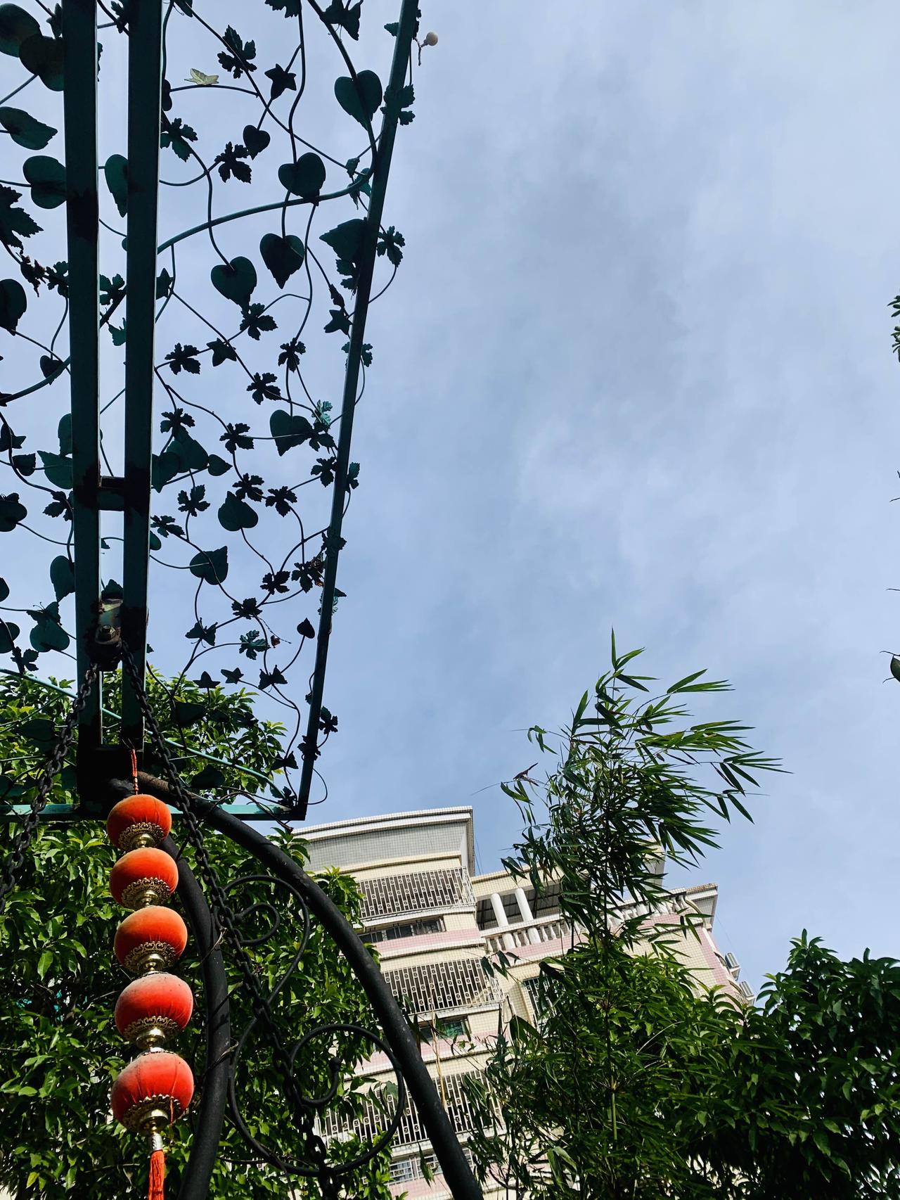 随手一拍好运自然来