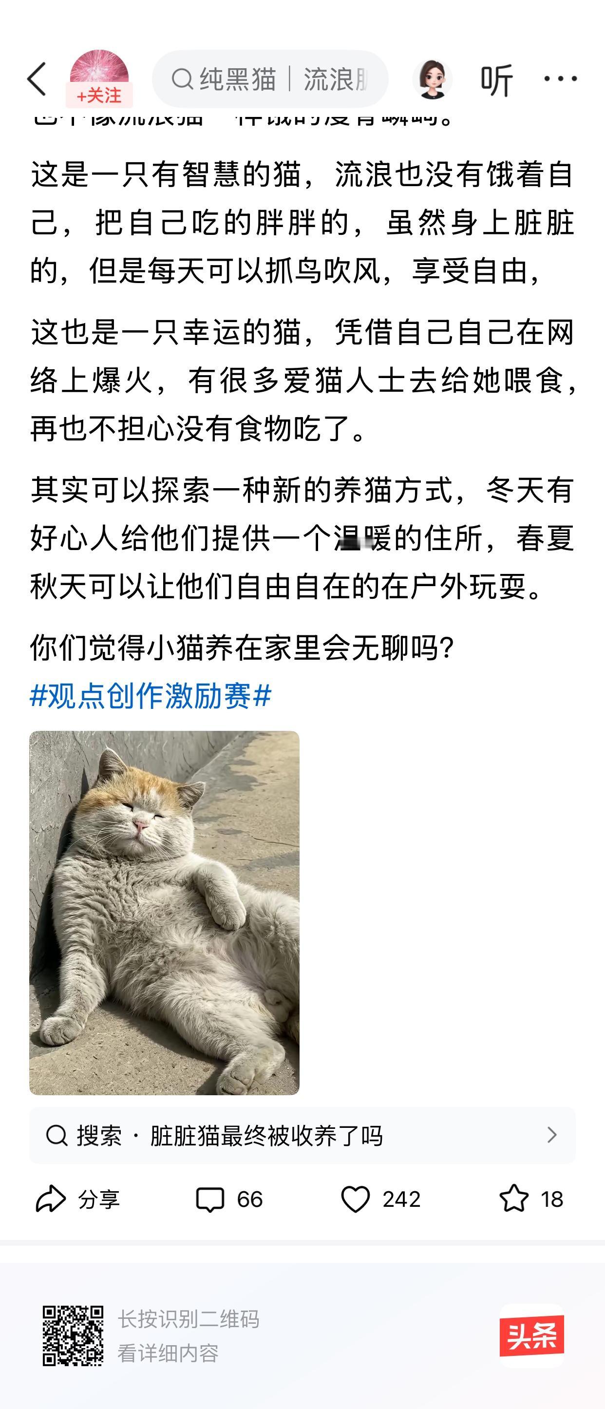 脏脏猫成为网红，其原因就是咋看上去根本不像流浪猫，有着胖嘟嘟的身躯，属于超级可爱