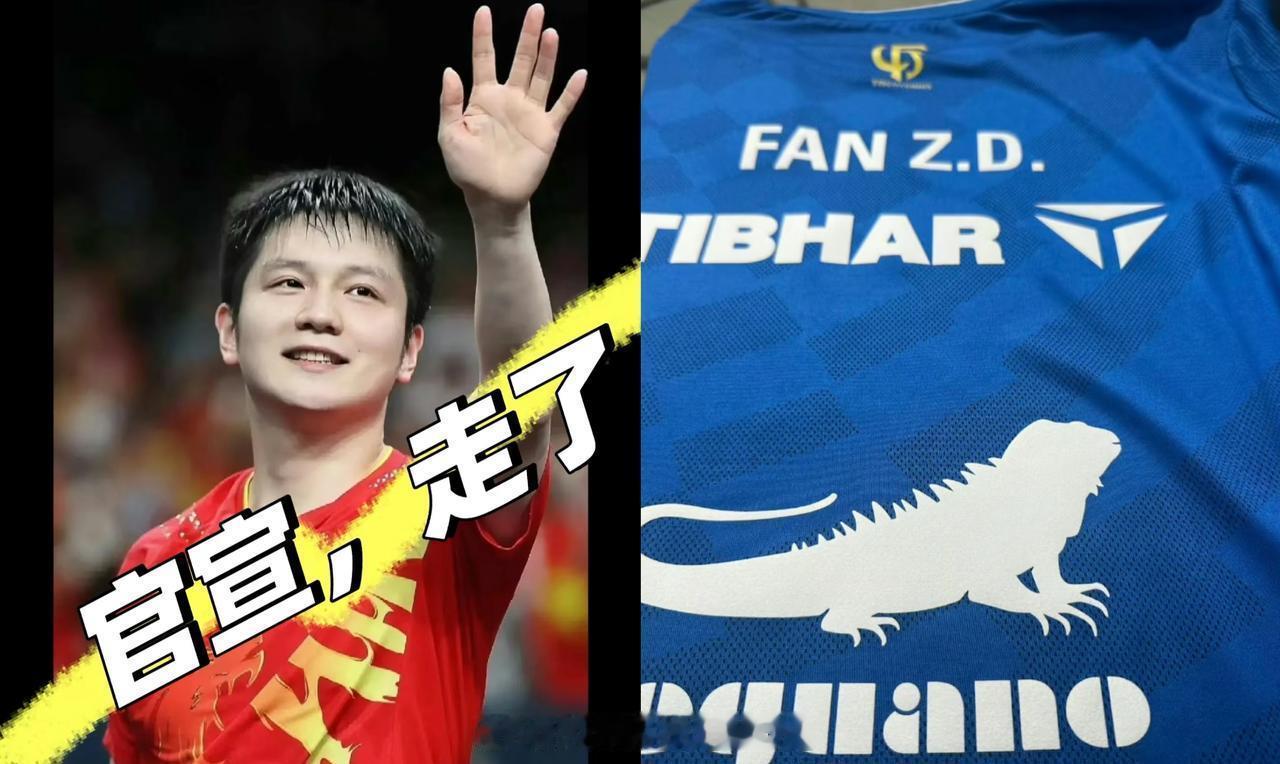 樊振东留洋不是说再见是新的开始终于明白德甲为啥这么迫不及待了！5月31日签约，6
