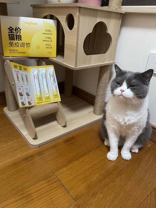🤩这是什么神仙养猫神好物！养猫懒人狂喜