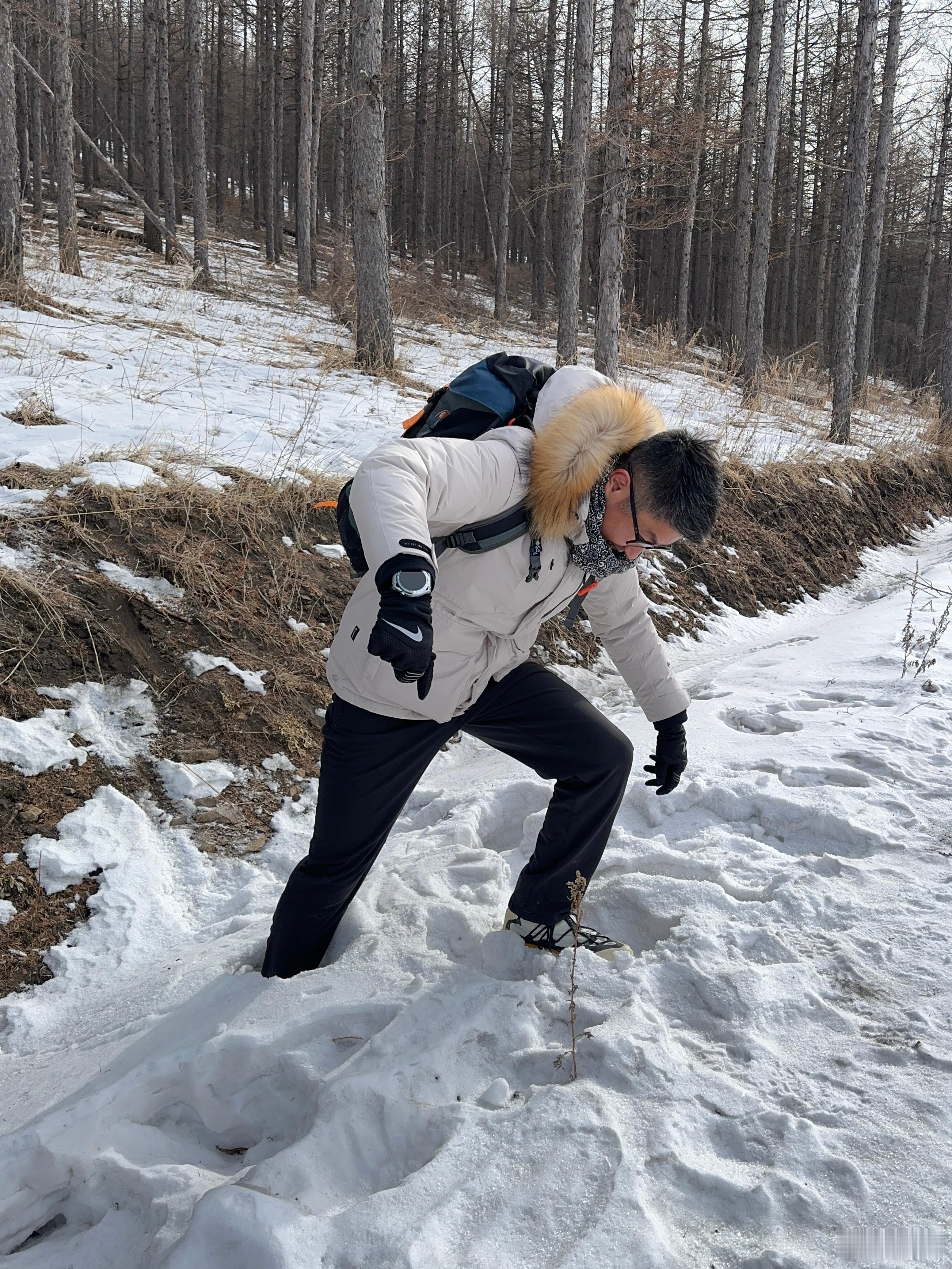 同事们现在只要策划个选题就把我往野外扔：跑山、趟雪地、穿林海。。。都是他们开车，