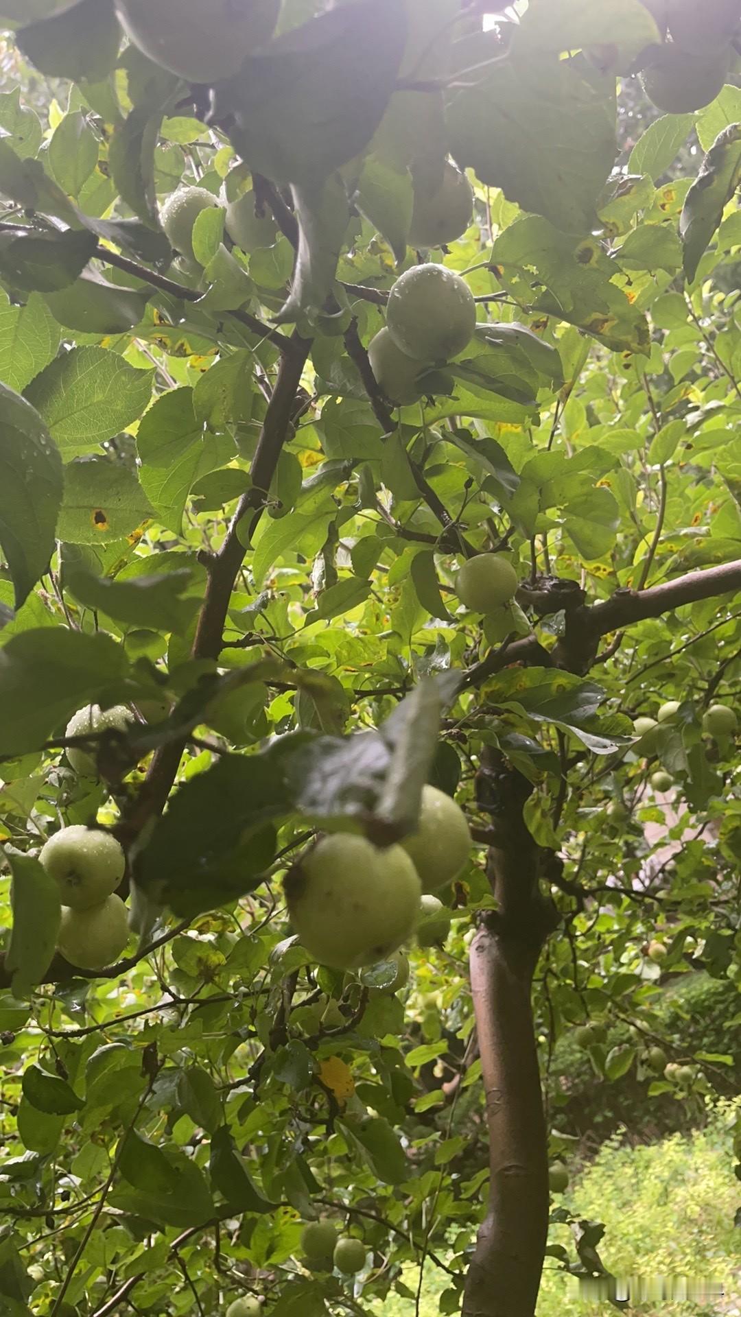 外卖超时了你会给差评吗不会