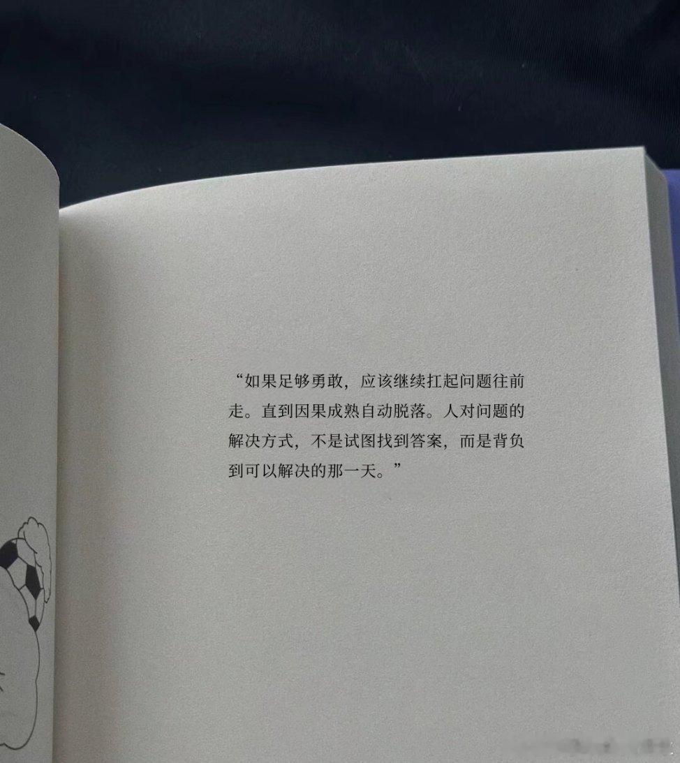 “如果足够勇敢，应该继续扛起问题往前走。直到因果成熟自动脱落。人对问题的解决方式