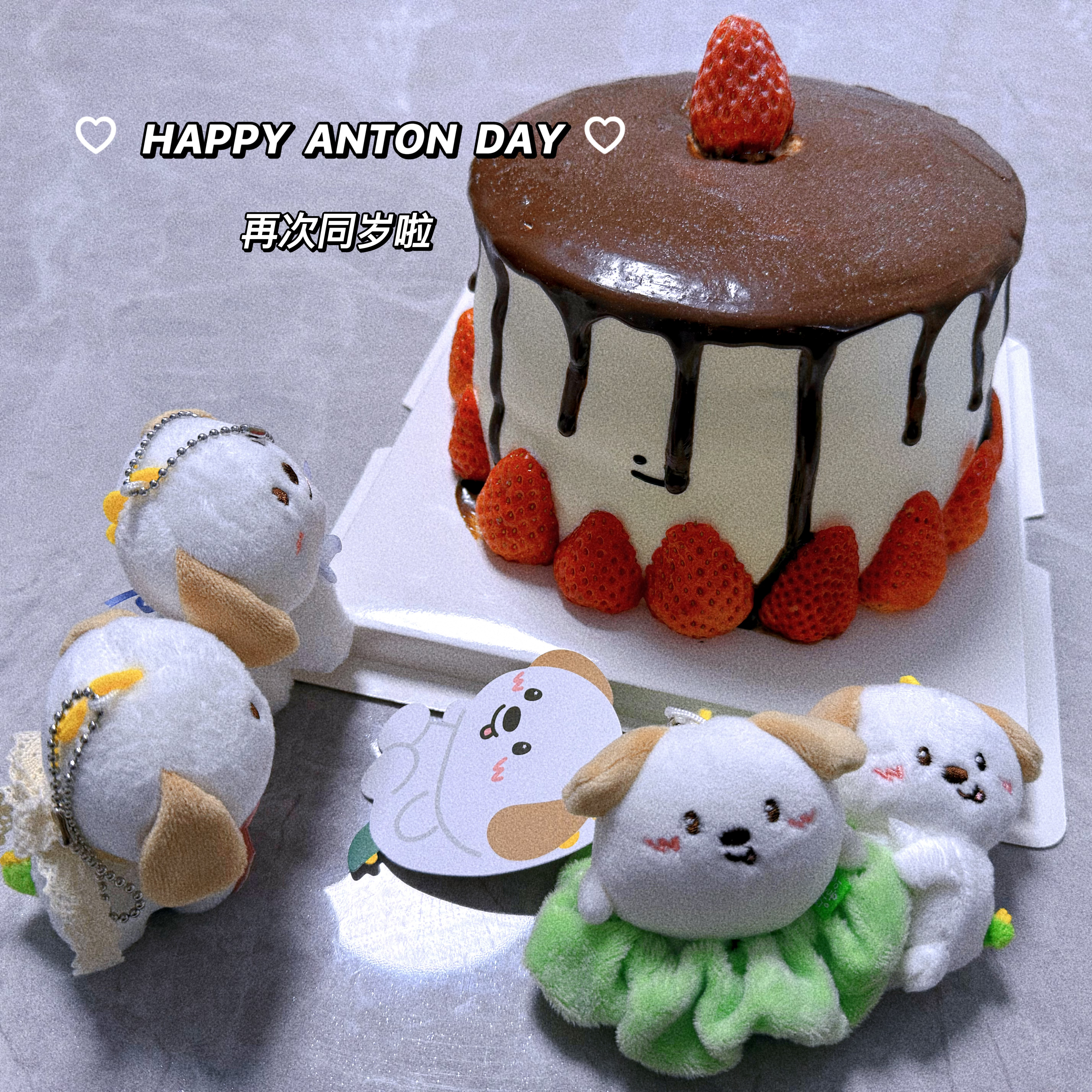 生日快乐anton chanyoung lee♡再次同岁啦🎂21岁继续做你想做