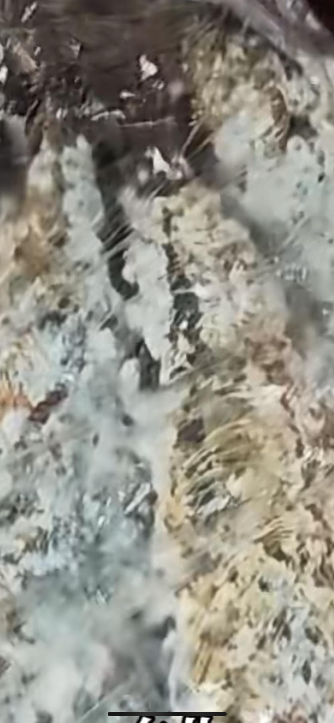 妈妈把变质发霉的鱼复炸后端上桌，女儿趁妈妈不在把冰箱全部清空，“妈妈很节约，吃不