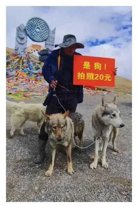 拍照二十