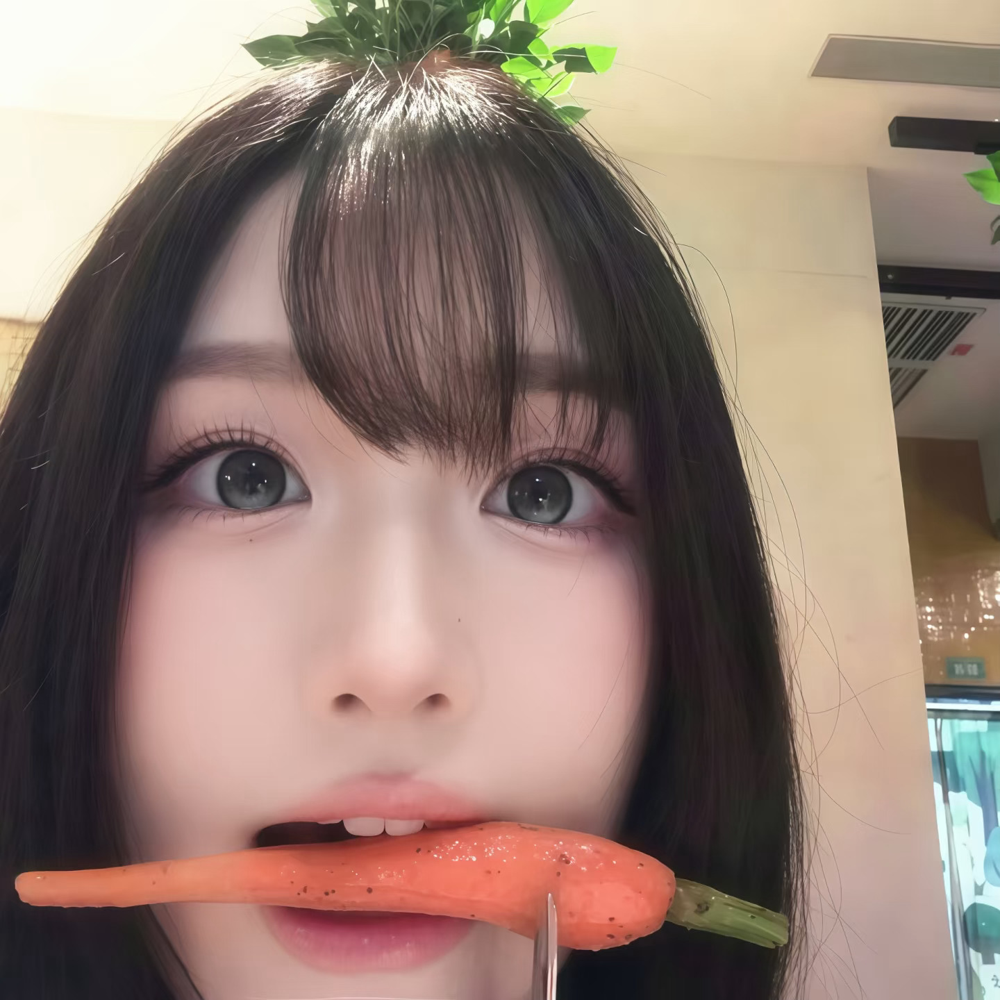 一期可爱自用头像分享₍ᐢ..ᐢ₎♡ ​​​