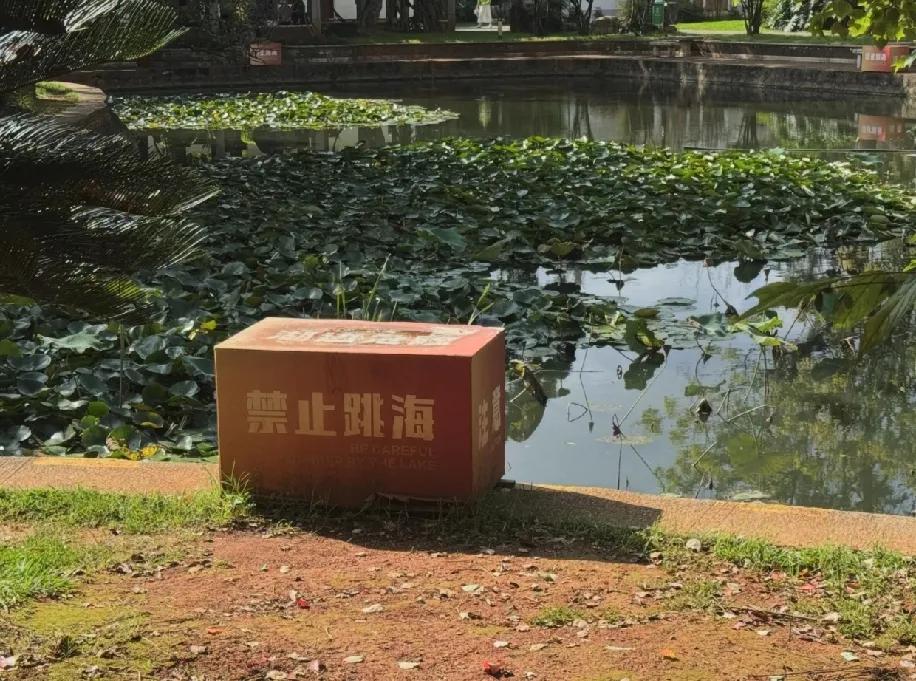 云南人对蛇的“淡定”，是我这辈子学不会的技能！
 
刚逛昆明大观楼，本来美得想原