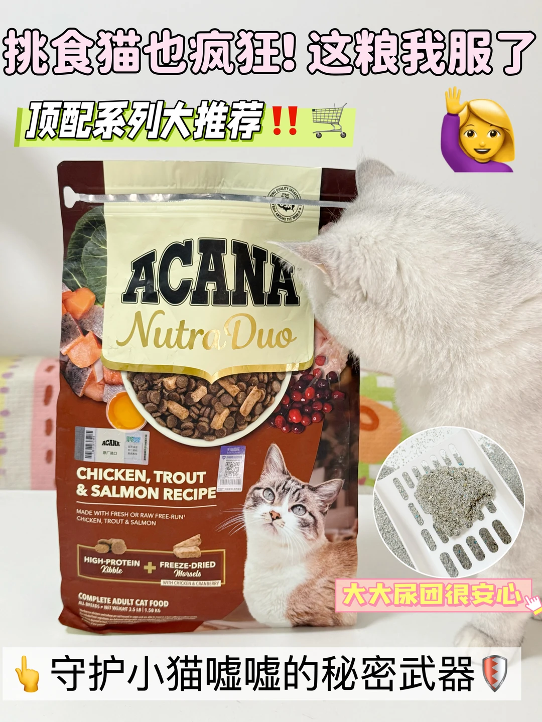 这粮我服🙋🏻猫咪吃完连夜写了800字感
