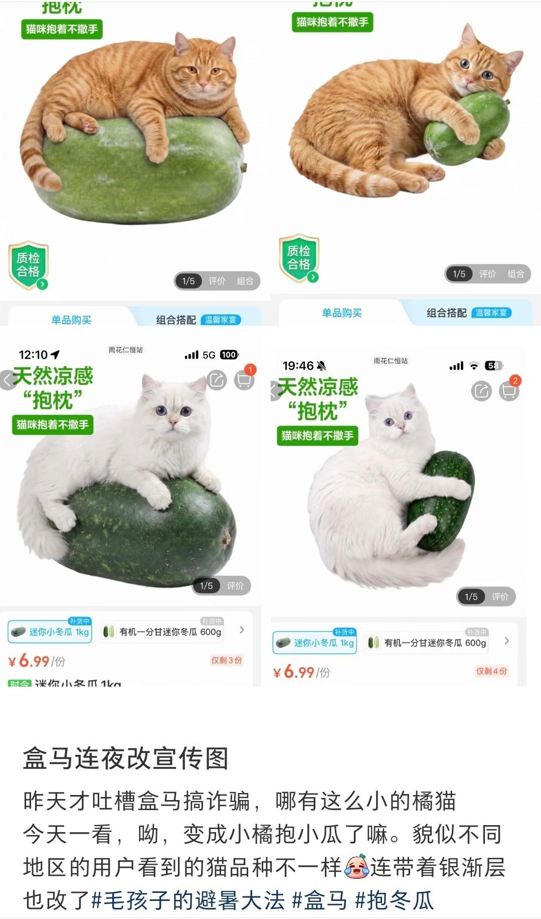 近期盒马迷你小冬瓜因一张宣传图彻底火出圈，离谱比例笑翻全网，官方连夜紧急改图，求