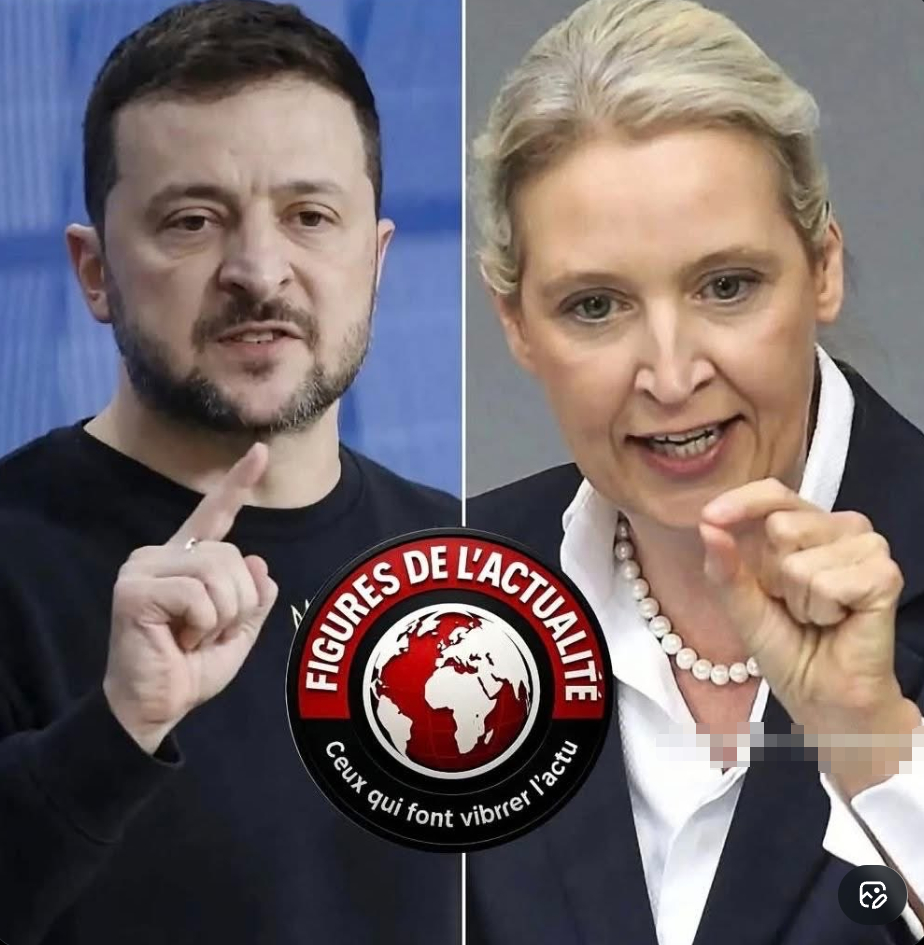 “世纪丑闻！德国选择党领袖魏德尔揭露泽连斯基的隐藏离岸账户，并要求立即冻结数十亿