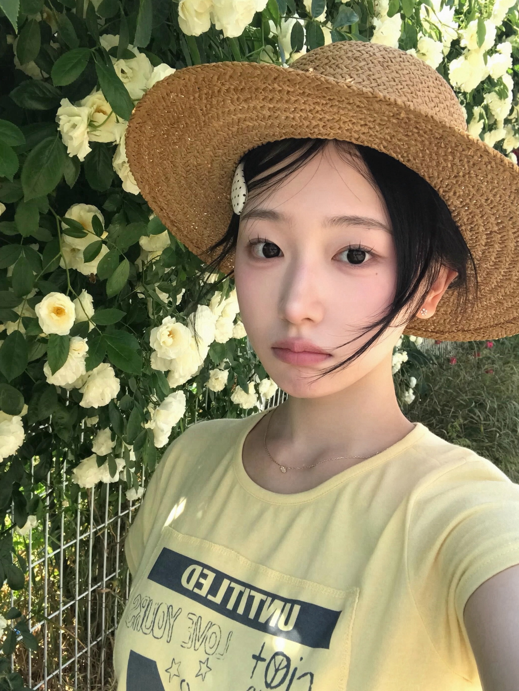 故事的小黄花🌼 
