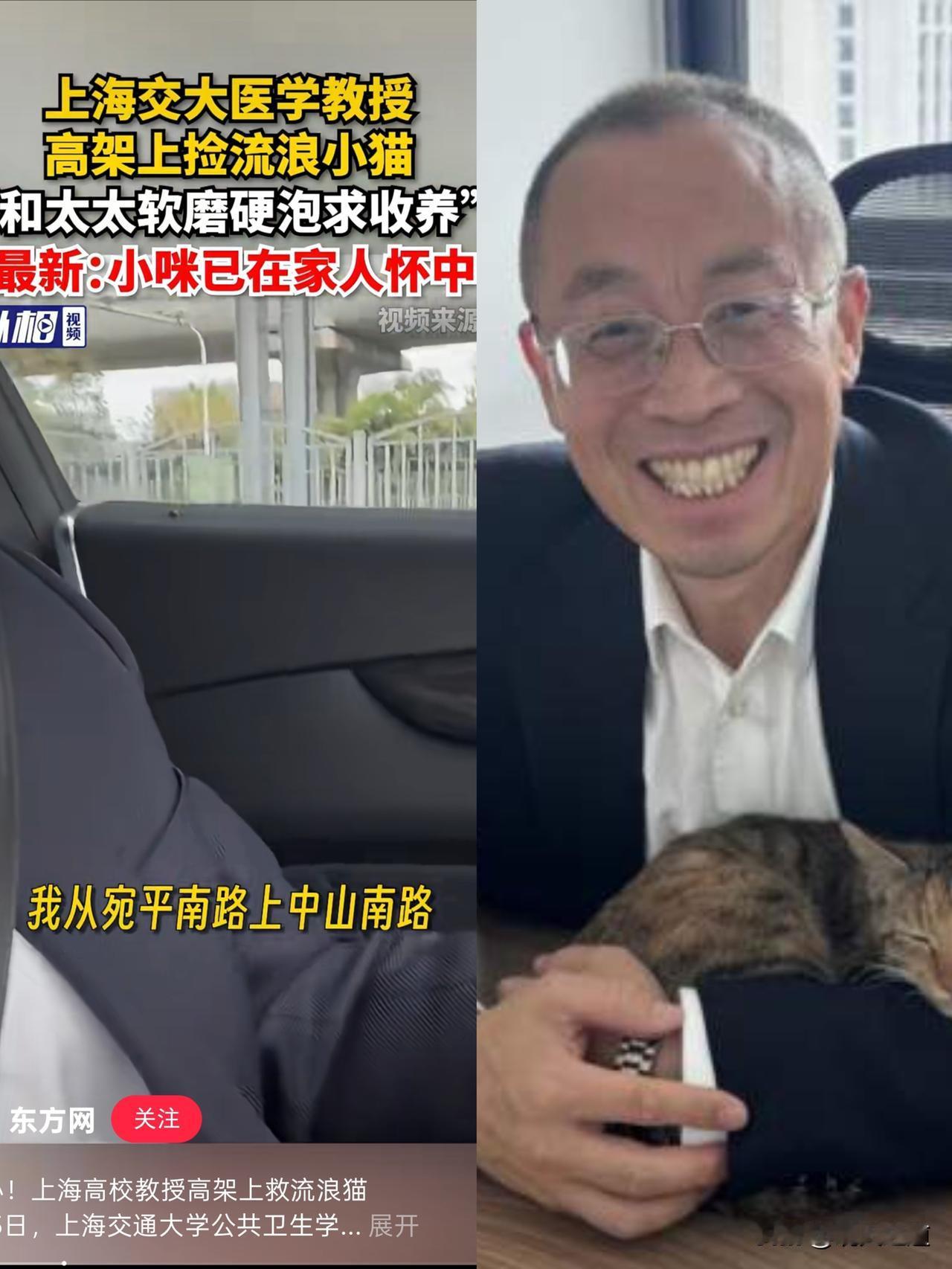 上海高架突然急刹！985教授冒死下车，后方车主不怒反赞？这波操作真的戳中人心！