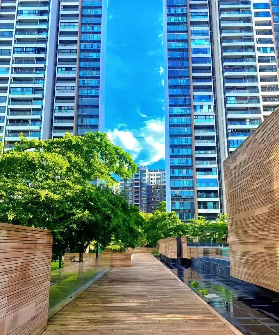 认房不认贷，
首付重置。
买不起房的机会来了！
简单说就是，如果你名下目前只有唯