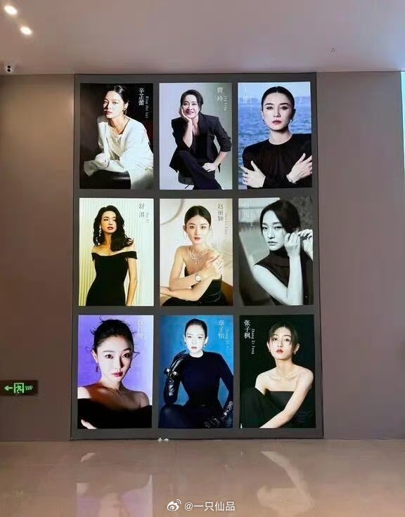 赵丽颖伟大，赵丽颖权威 