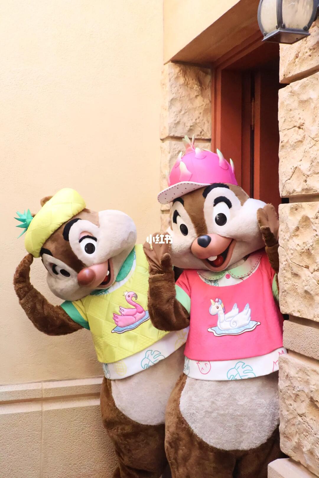 ❤️奇奇蒂蒂小可爱❤️