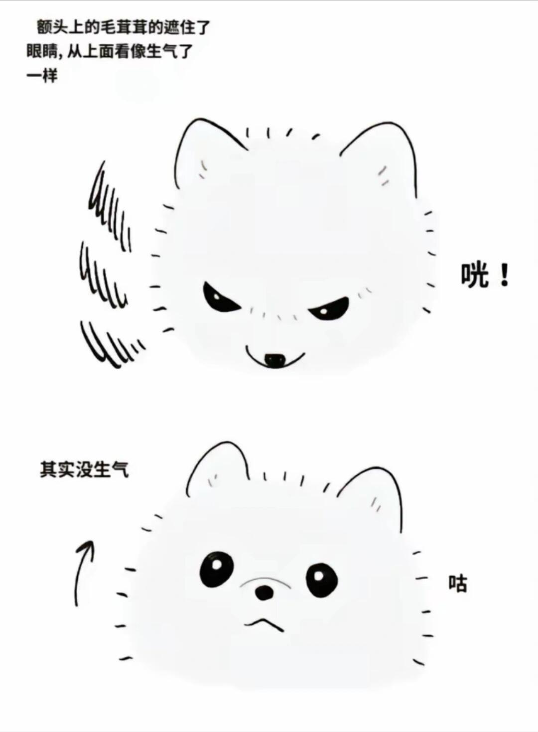 又一张可以代的 