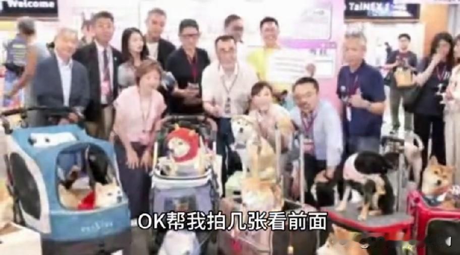 李四川参加宠物展，被问到赖清德吃“狗粮”的事儿，问他要不要也尝尝好吃不好吃。
