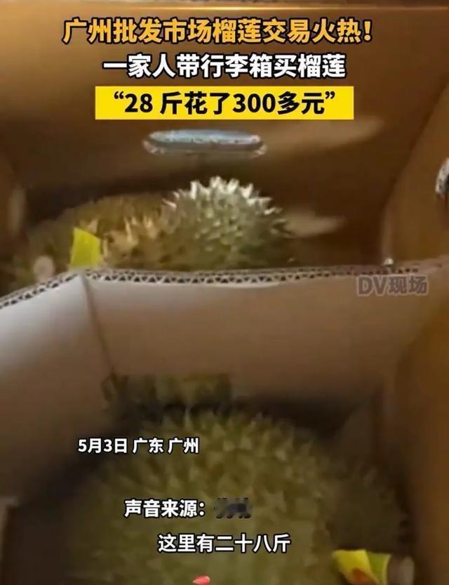 300元抱走28斤榴莲！广州人的快乐，戳中了多少普通人的心愿？

这个五一，最让