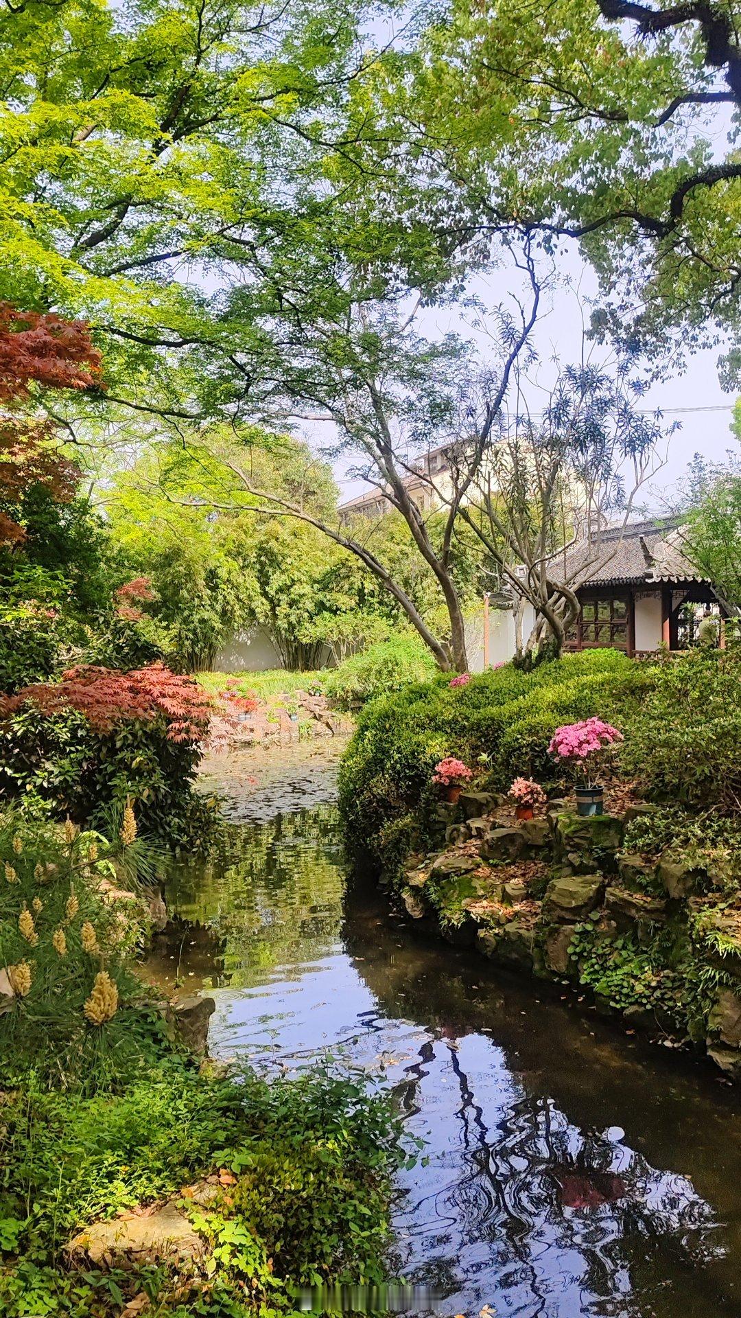 《古韵悠长的醉人春色！松江醉白池》松江醉白池坐落于上海松江区人民南路，占地 5 