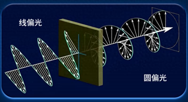 從低藍光到圓偏光 健康顯示或將成為未來行業底色