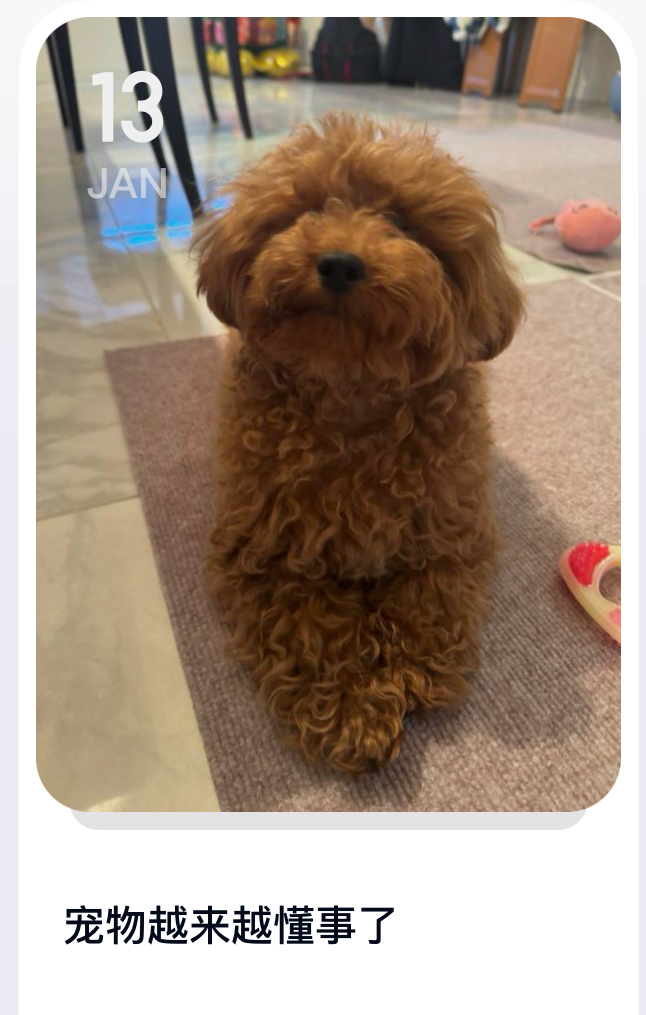 她惦记了好久的天使绝育今天终于能实现了，祝福👼🏻 ​​​
