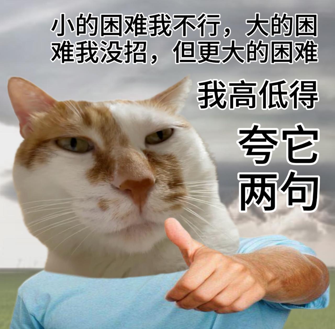 小泸今日提醒：警惕骗子以“资金调查”为借口，利用受害者急于自证清白、摆脱罪责的心