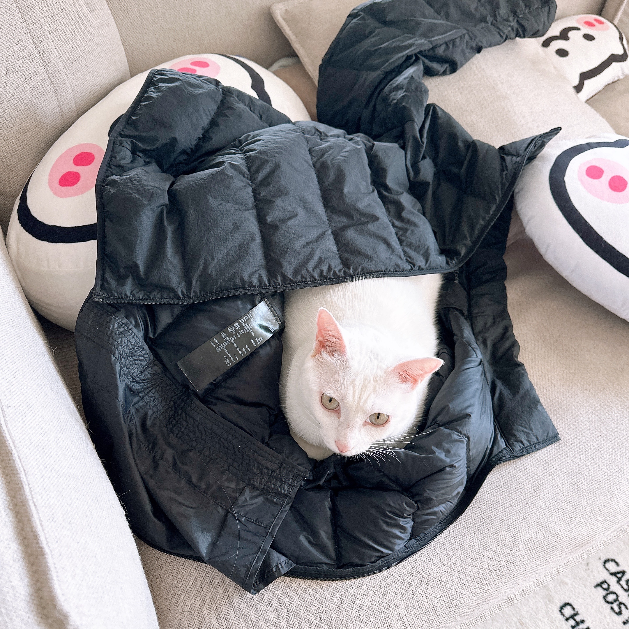 哈哈哈哈，睡觉睡一半，自己连着被子一起掉到地上 ​​​
