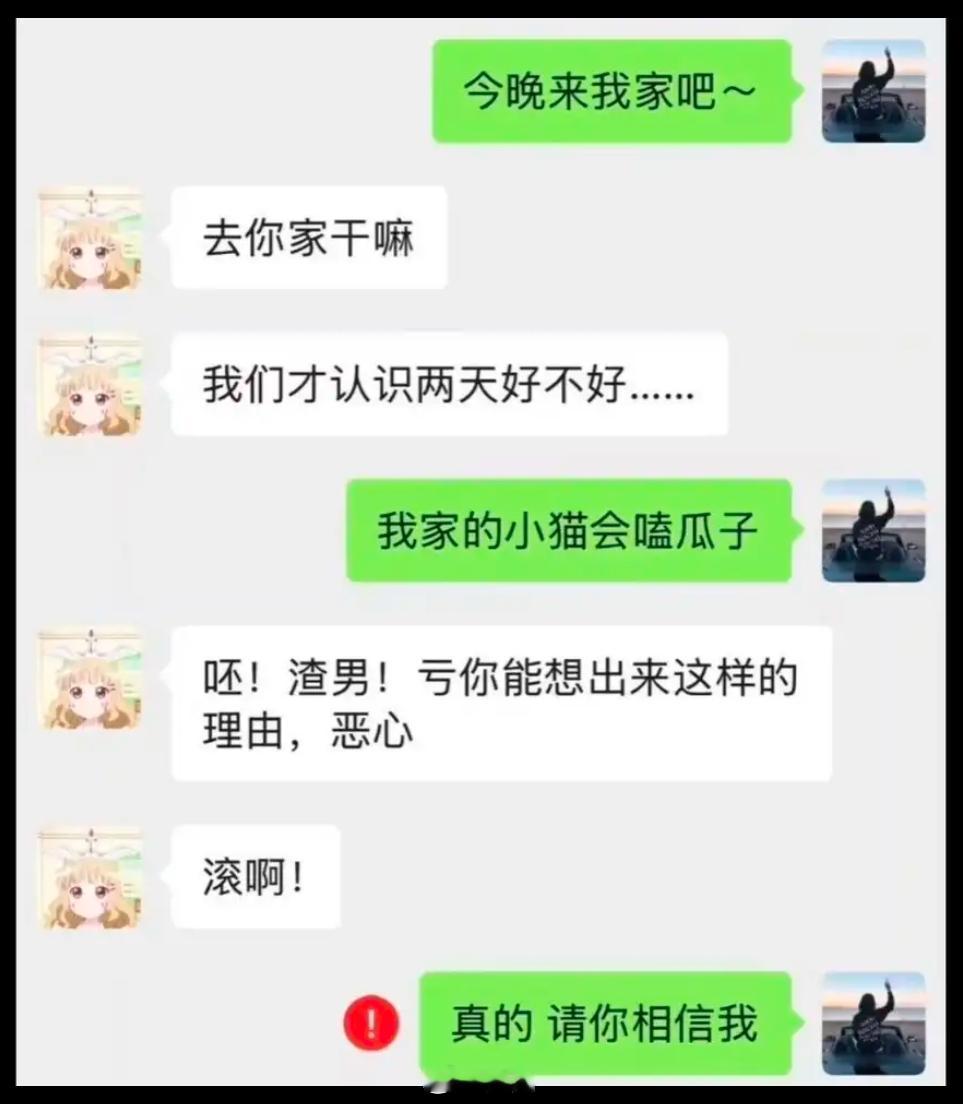 我家的猫会嗑瓜子[允悲] ​​​