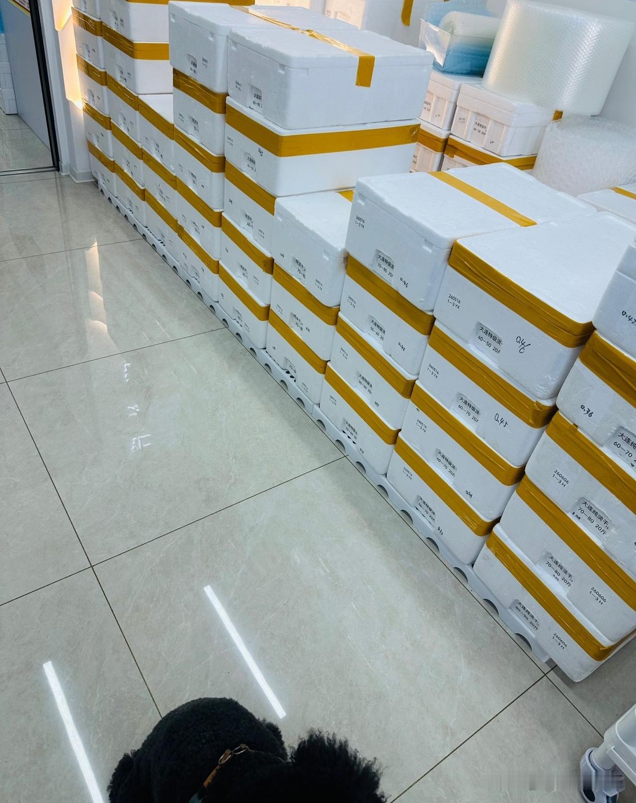 这两年什么都涨价唯独工资非但不涨反而不是降薪就是欠薪。
海参又涨价了。
这个涨价