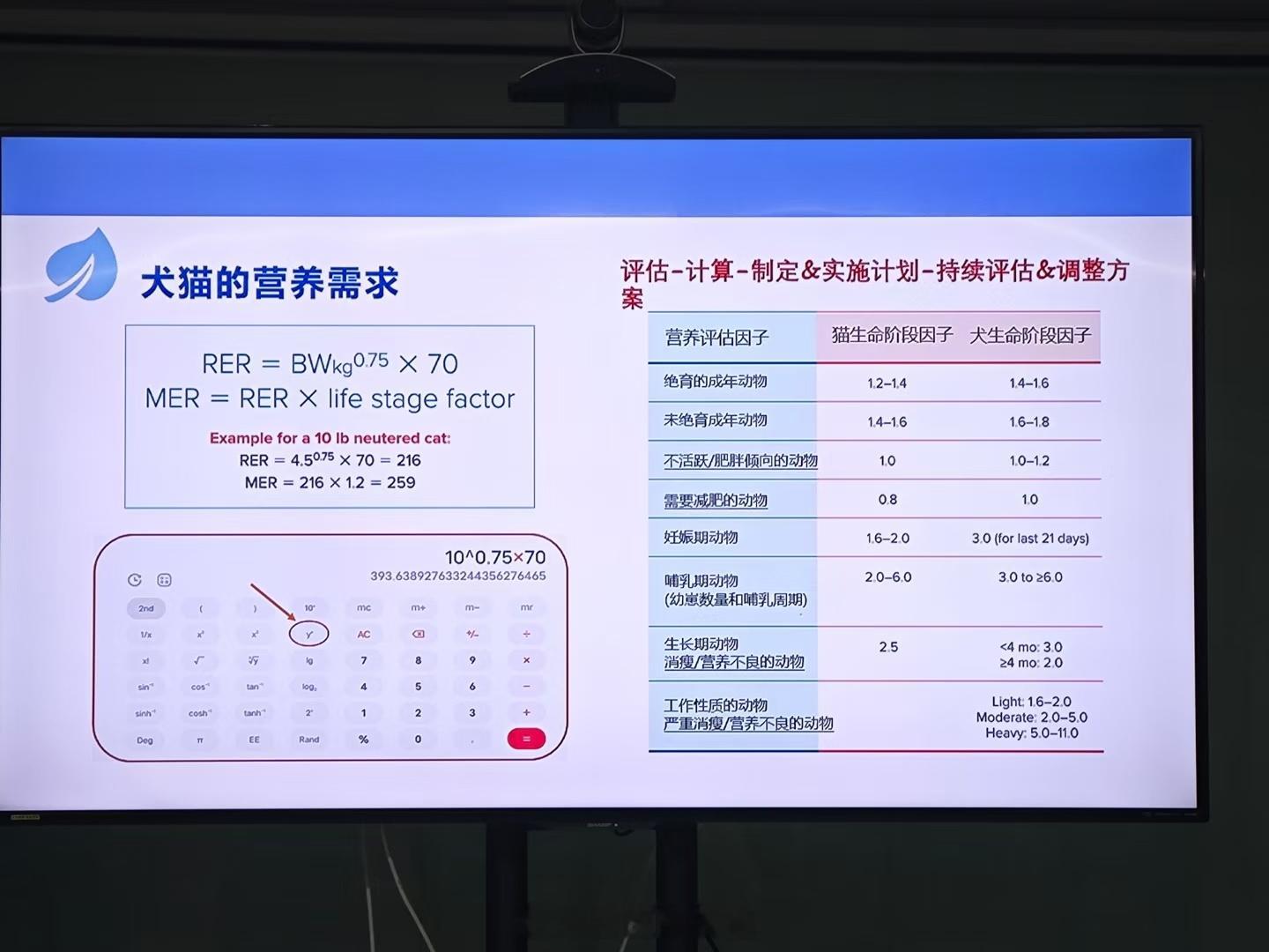 犬猫的年龄，寿命，营养需求。  