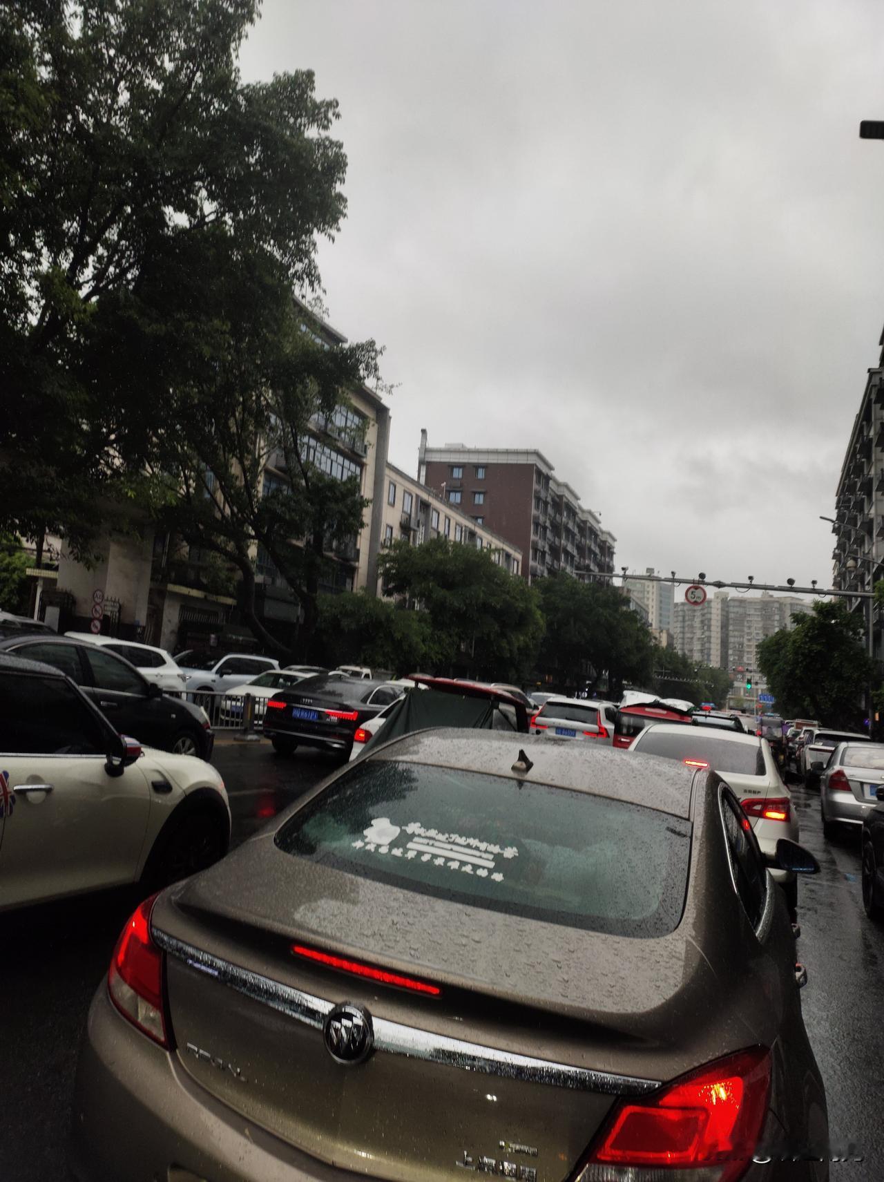 今天顺庆区人民路、滨江路、胜利路、长征路、和平路、莲池路、育英路、五星花园、金鱼