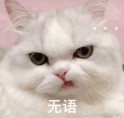 韩国中学生在上海观光廊大声打闹曾经和韩国学生同寝室住过一年，描述一下韩国学生性格