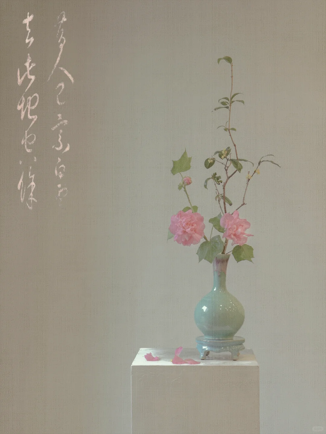 秋风送爽桂花香