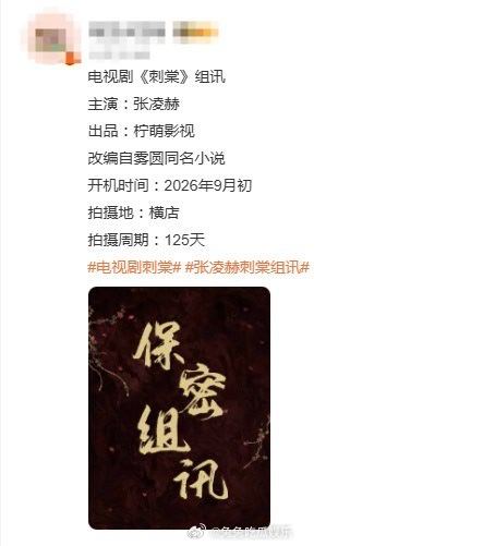 张凌赫女主  网传张凌赫主演新剧《刺棠》已单人过会，女主暂未确定，你期待吗 