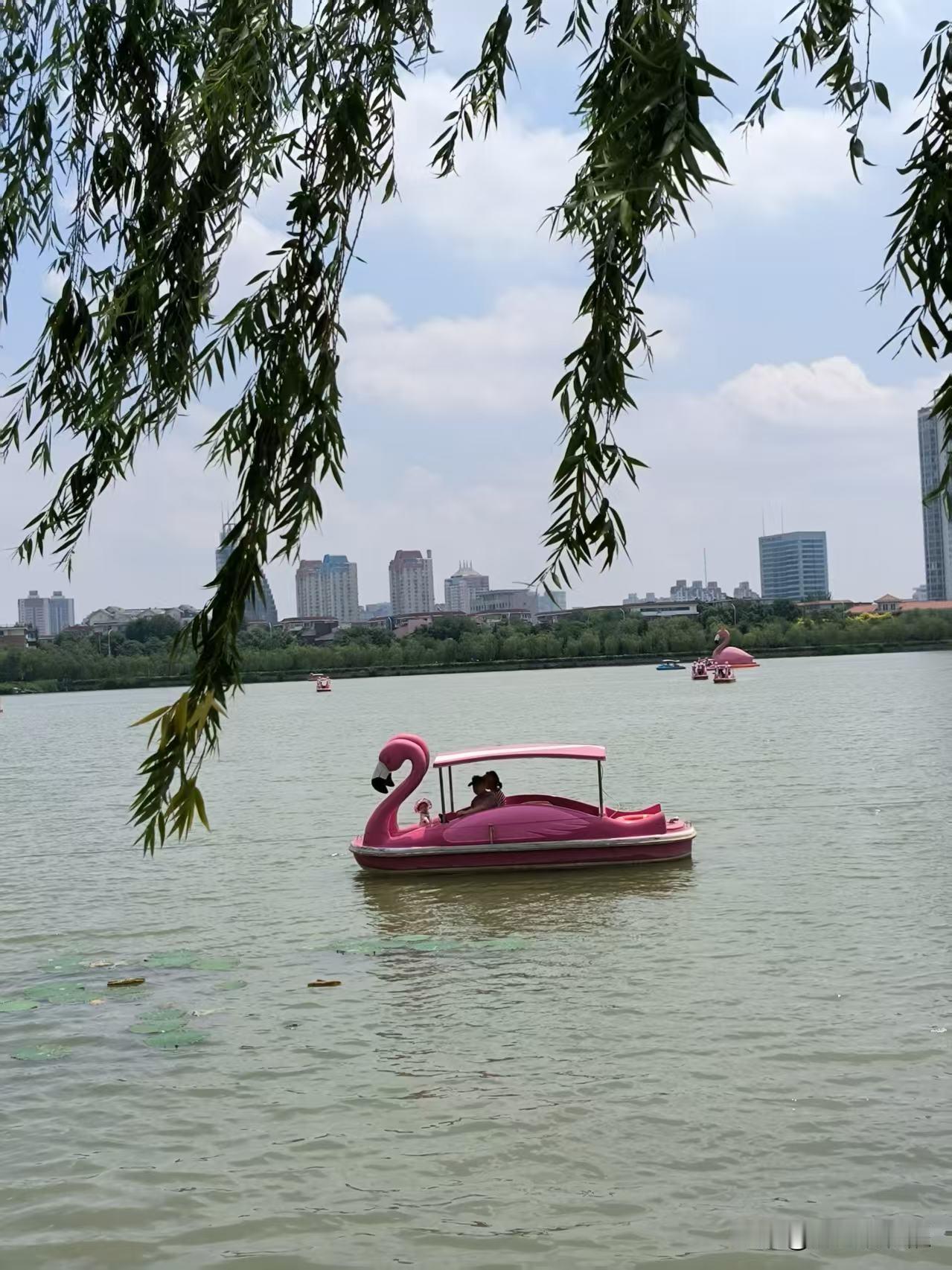 说起市里这几个公园，还得是水上公园。公园大风景美，游客多，特别热闹。
公园每一处