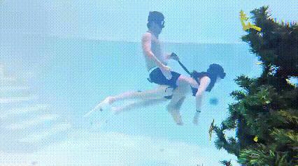 这节目别出心裁了！看到陆地上骑假马，没想到在水里还有骑假鱼的，为了有观赏性和经济