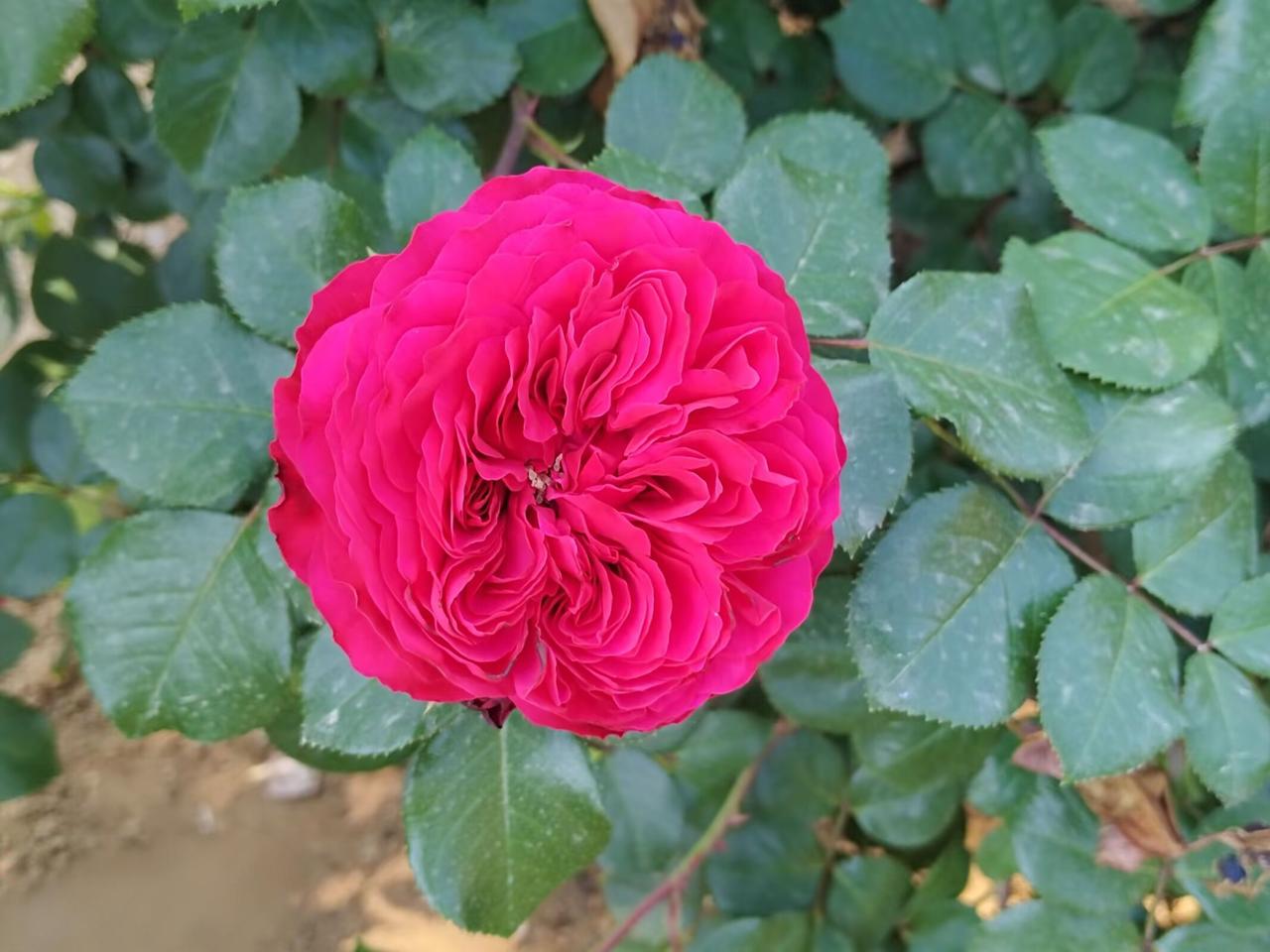 上次我写过同事大姐老公被石料埋了，还有一个老太太路过也被埋了，今天才知道那个老太