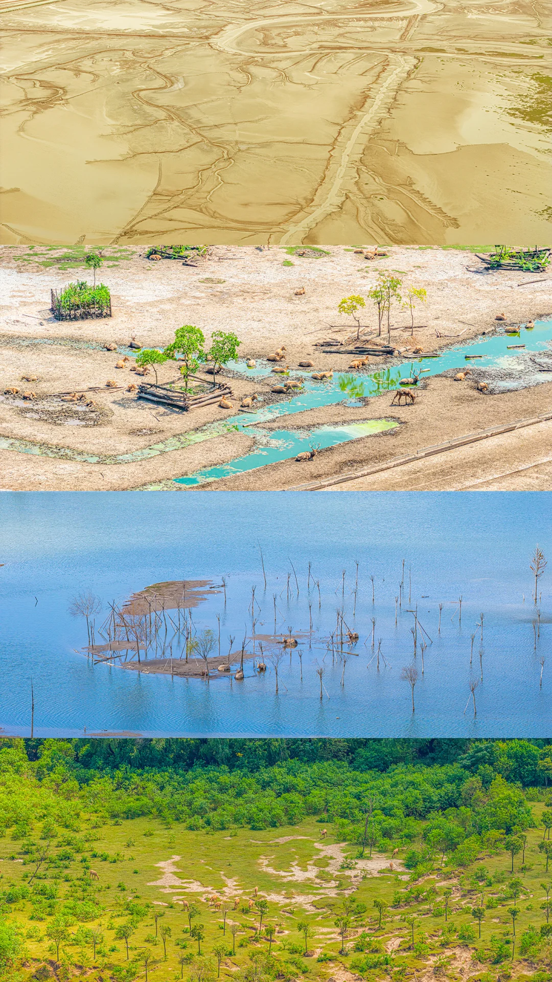 周末去了趟盐城，朋友都以为去了肯尼亚❗️❗️