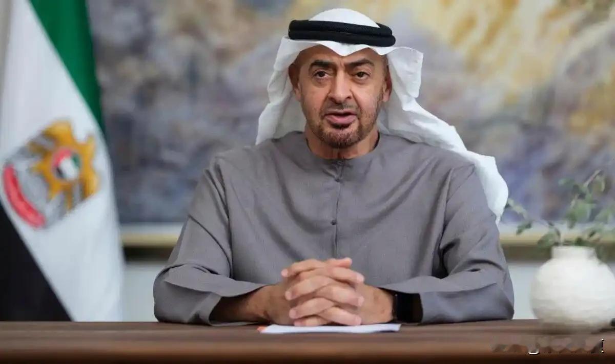 太意外了！美以打伊朗，最受伤的竟然是阿联酋？逼得阿联酋直接退群“欧佩克”，石油美