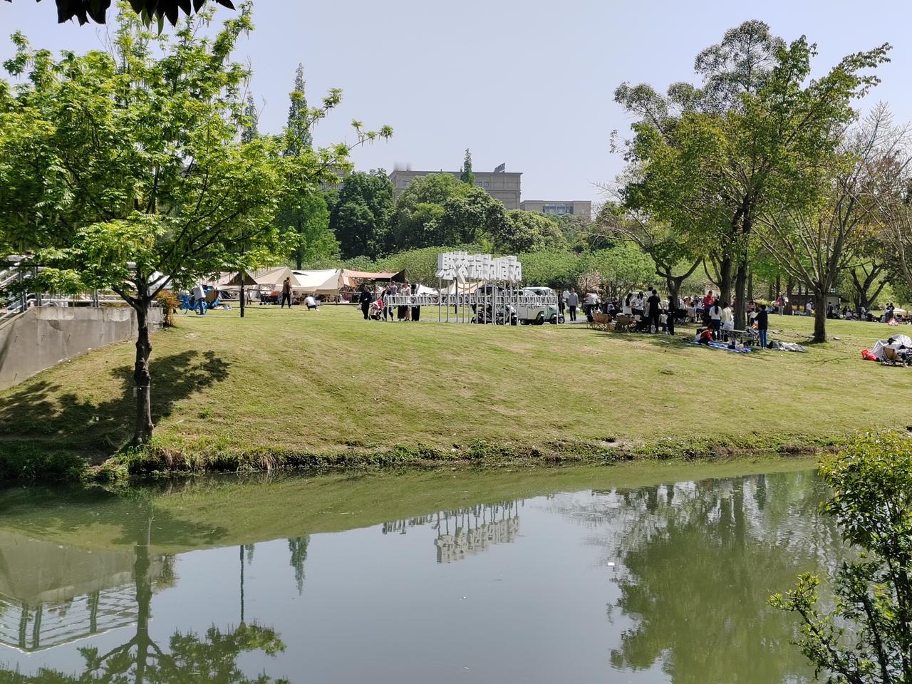 今年春天最想实现的心愿 今年春天，我的心愿就像这温柔的春风，简单又美好。
我想踩