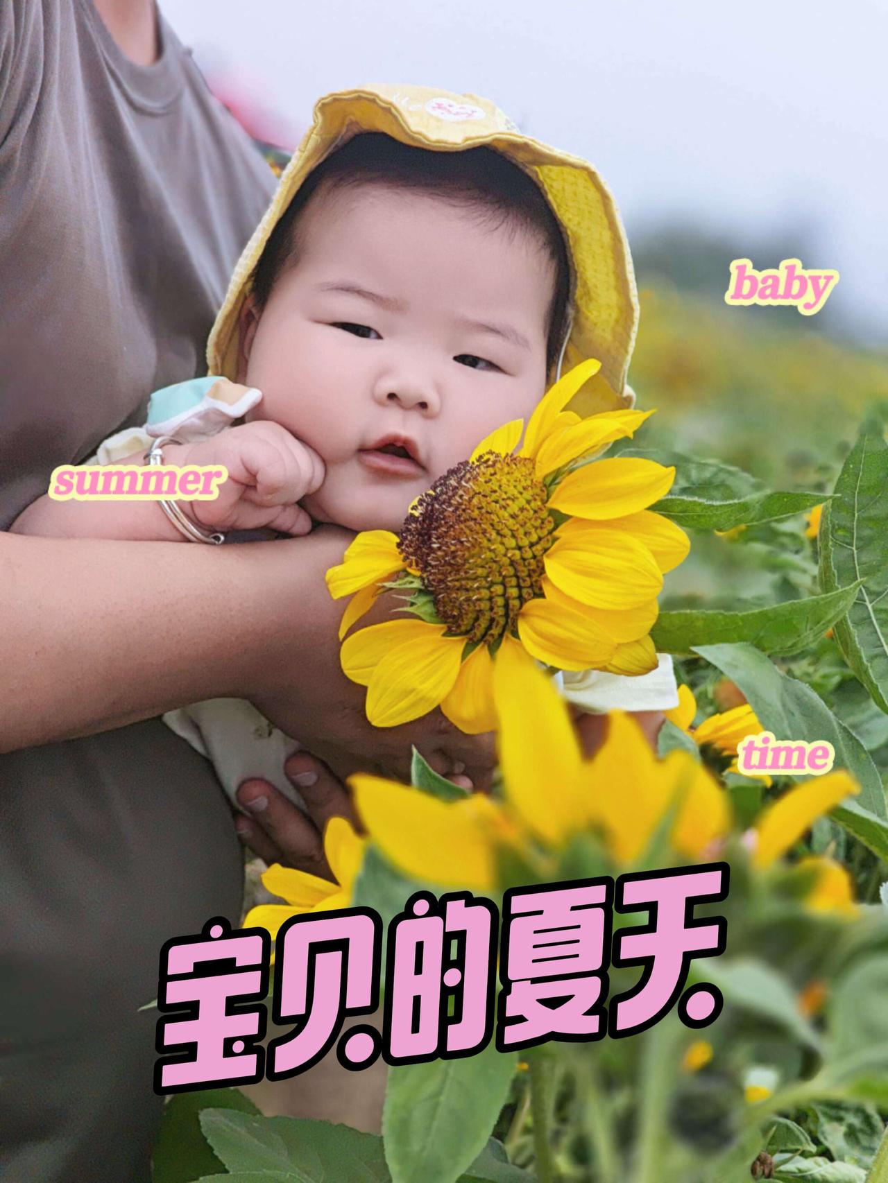 向日葵中的小宝贝 向日葵花海中的小可爱 抖音流量扶持 创作者扶持计划 抖音热歌