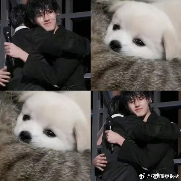 张极变成被淋湿的狗狗了张极舞台小狗毛被淋湿完全小狗味溢出来了咱们就是说到底要怎么